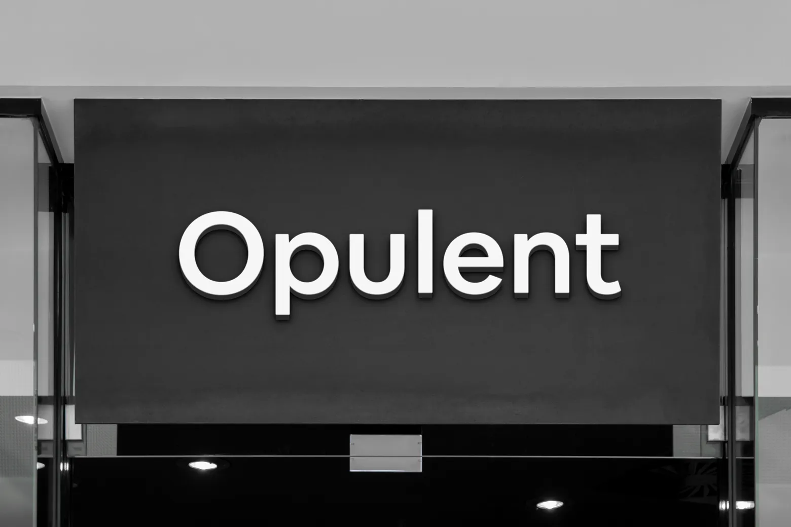 Opulent channel letter shop sign