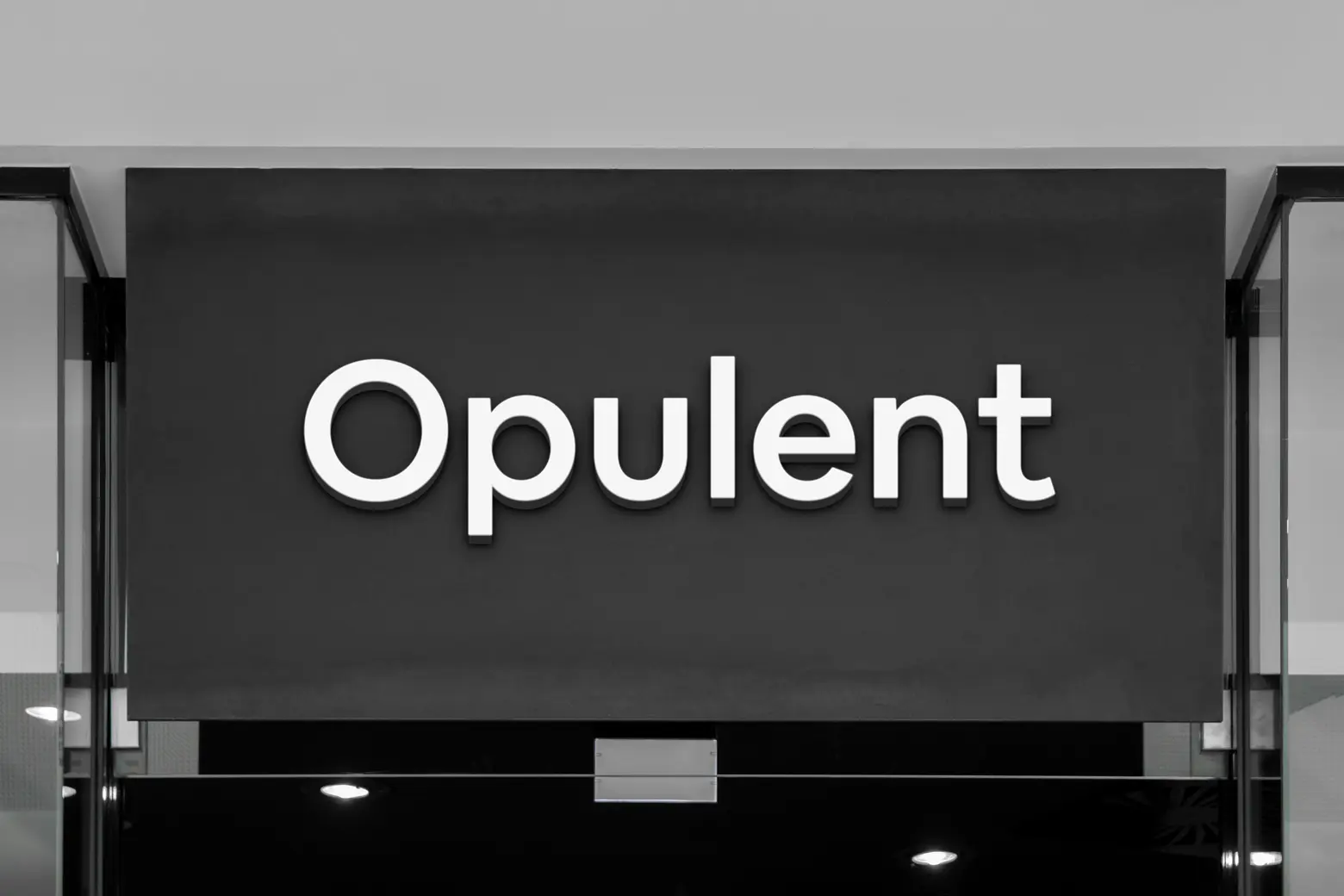 Opulent channel letter shop sign