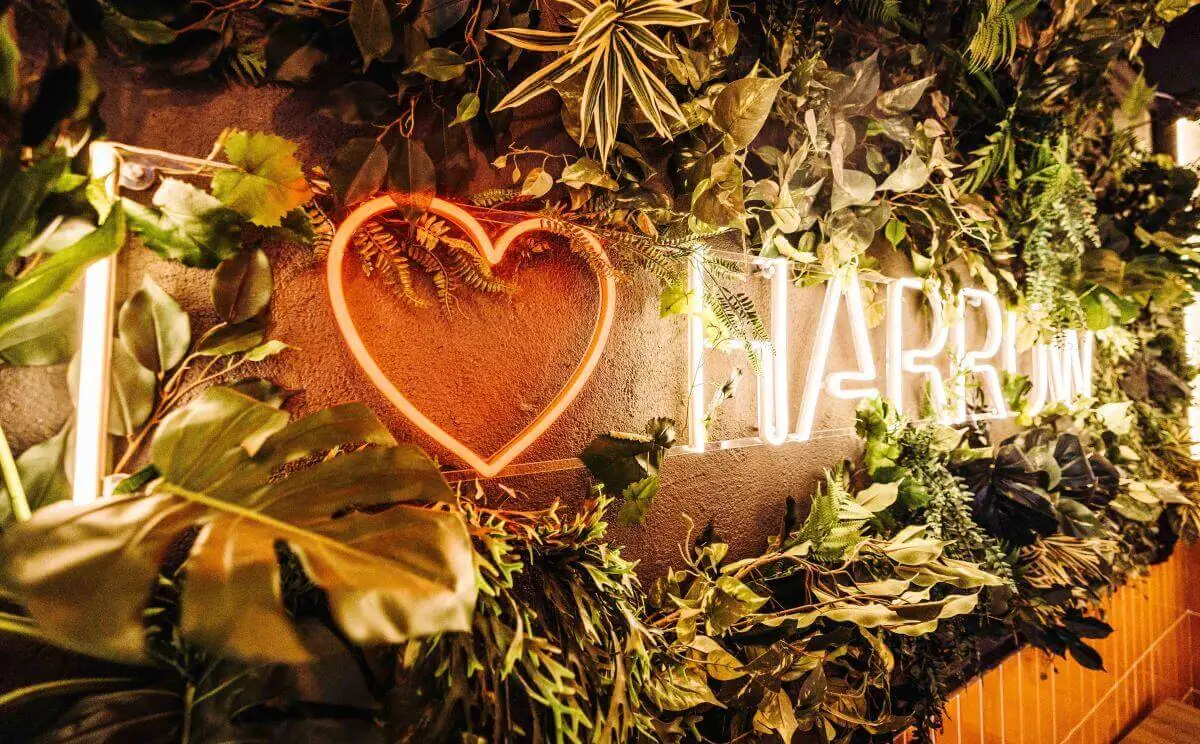 A pink script-font LED neon sign glowing on a plain wall in a styled interior