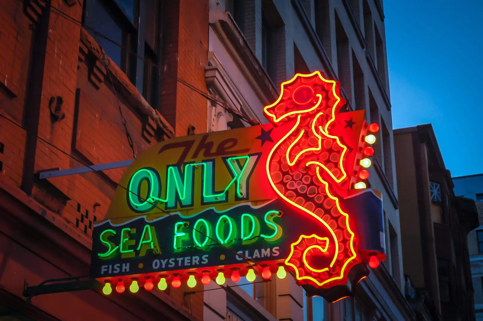 A vintage-style neon sign with rounded script lettering